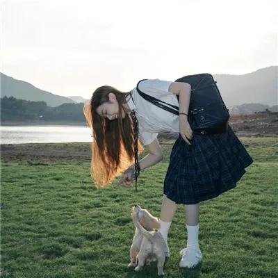 小老鼠历险记